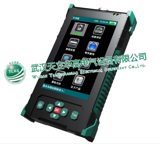 TLHG-8803智能蓄電池內(nèi)阻測(cè)試儀